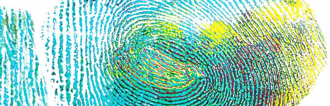 Spezialisten überprüfen Fingerabdrücke Fingerabdrücke abnehmen