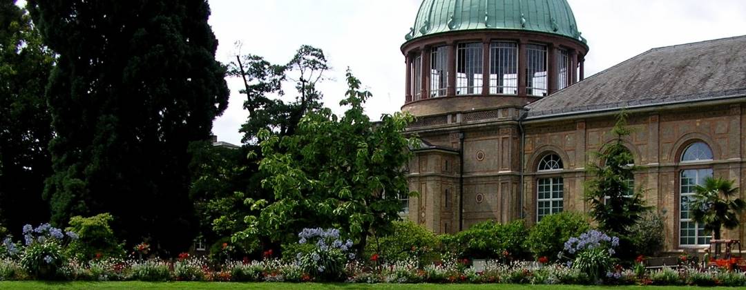 Detektive ermitteln am Einsatzort Karlsruhe Privatdetektive beobachten im Schlosspark in Karlsruhe